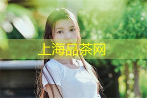 京剧像素画技术落地上海，展示传统之美与科技之创新