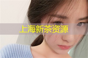 上海公司：成为焦点人物，参与奢华包装下的秘密社交活动！