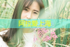 上海有什么故事